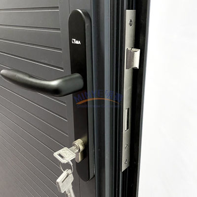 Puerta de revestimiento de panel completo de diseño moderno de aluminio para aplicaciones exteriores