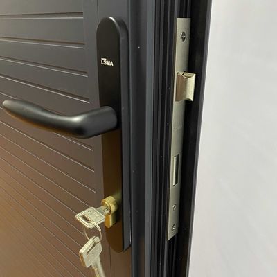 Modern Design Europe Puerta de seguridad de acero con cerraduras bisagras y accesorios de mango
