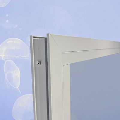 Cuadro de aluminio vidrio doble templado ventana de imagen negra para la promoción de productos